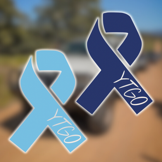 Blue Ribbon Twin Pack Decal
