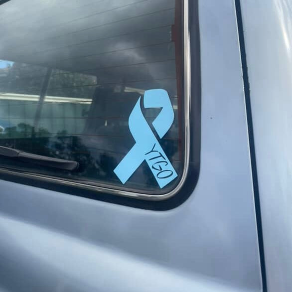 Blue Ribbon Twin Pack Decal