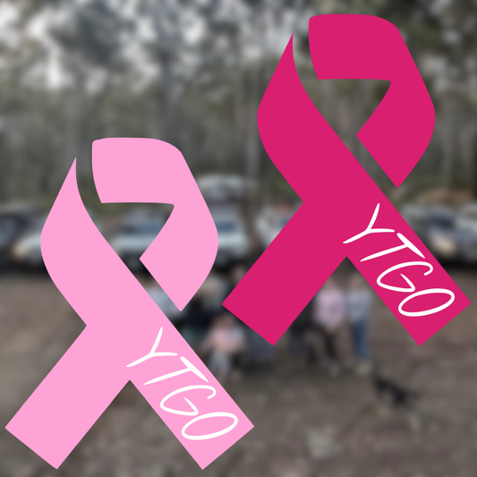 Pink Ribbon Twin Pack Decal